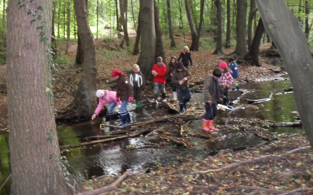 Wasserforscher